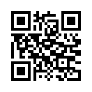 QR CODE 310