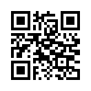 QR CODE 317