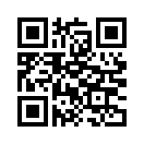 QR CODE 320