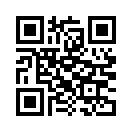 QR CODE 336