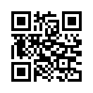 QR CODE 339
