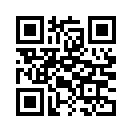 QR CODE 355