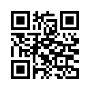 QR CODE 382