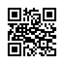 QR CODE 385