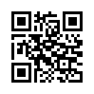 QR CODE 394
