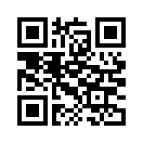QR CODE 395