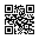 QR CODE 398