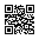 QR CODE 401