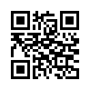 QR CODE 407