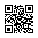 QR CODE 409