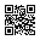 QR CODE 410