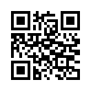 QR CODE 411