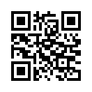 QR CODE 419