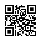 QR CODE 433