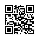 QR CODE 453