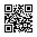 QR CODE 110