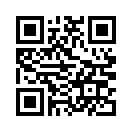 QR CODE 133
