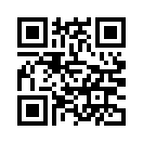 QR CODE 53
