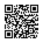 QR CODE 1238
