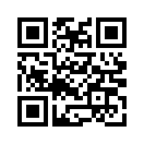 QR CODE 42