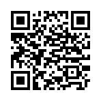 QR CODE 110
