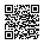QR CODE 133