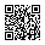 QR CODE 53