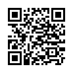QR CODE 538