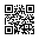 QR CODE 25