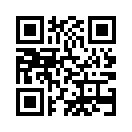 QR CODE 993