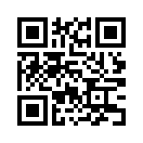 QR CODE 110