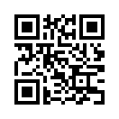 QR CODE 133
