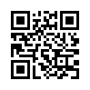 QR CODE 31