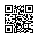 QR CODE 336