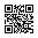 QR CODE 568