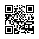QR CODE 133