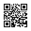 QR CODE 291