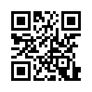 QR CODE 305