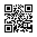 QR CODE 317