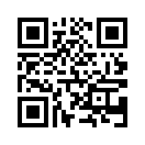 QR CODE 336