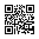 QR CODE 351