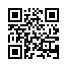 QR CODE 374