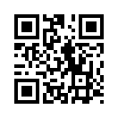 QR CODE 389