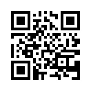 QR CODE 441