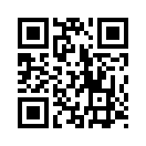QR CODE 494