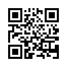 QR CODE 501