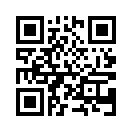 QR CODE 511