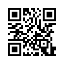 QR CODE 530