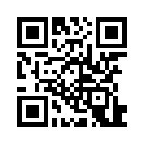 QR CODE 587