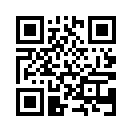 QR CODE 591